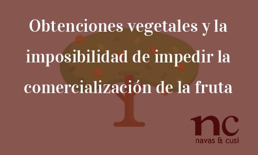 Obtenciones-vegetales-y-la-imposibilidad-de-impedir-la-comercialización-de-la-fruta-Navas-&-Cusí-Abogados-especialistas-en-Derecho-Mercantil-y-Societario