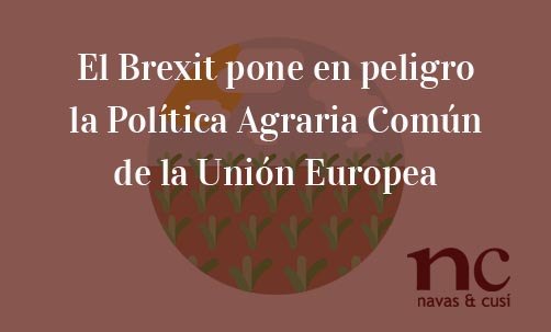 El-Brexit-pone-en-peligro-la-Política-Agraria-Común-de-la-Unión-Europea-Navas-&-Cusí-Abogados-especialistas-en-Derecho-de-la-Unión-Europea